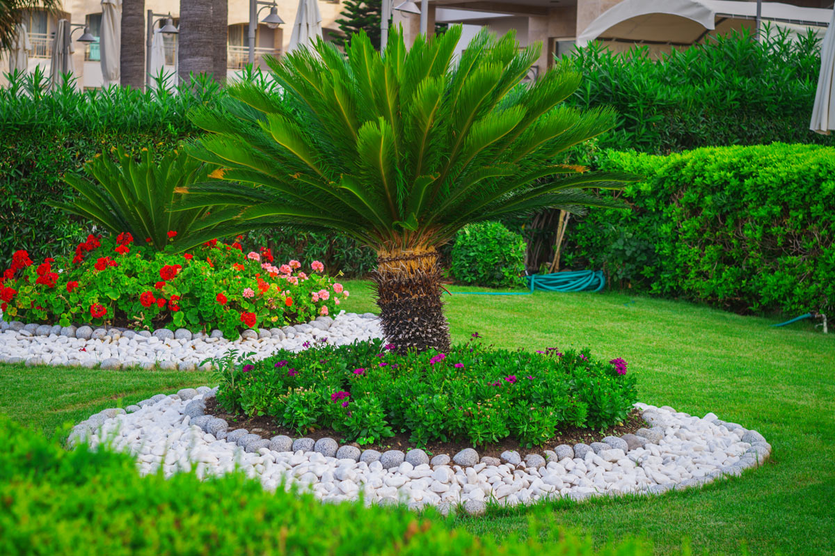 Plantes et pierres pour une rocaille magnifique