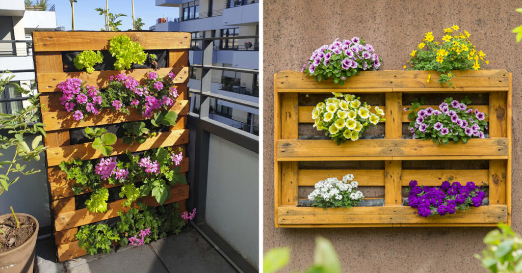 Jardin vertical DIY avec palette.