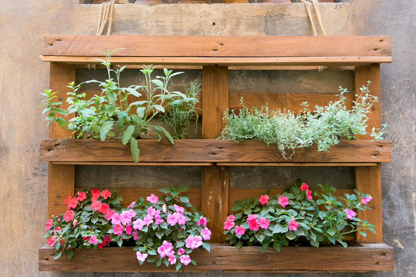 Jardin vertical DIY avec palette e bois.