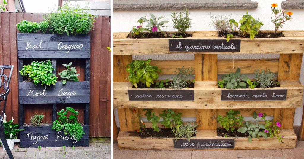 Jardinière verticale DIY de plantes aromatiques.