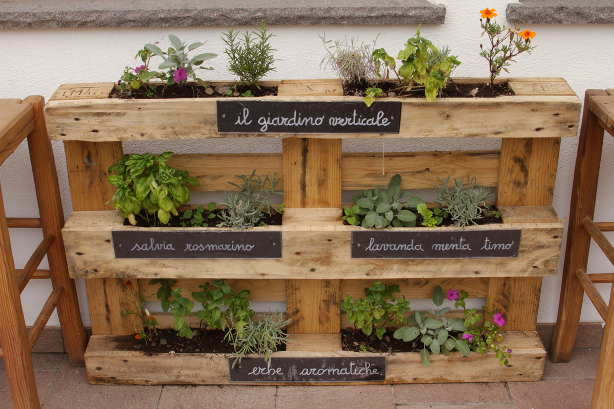 jardinière verticale DIY de plantes aromatiques