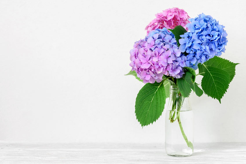10 inspirations pour décorer avec un joli vase d