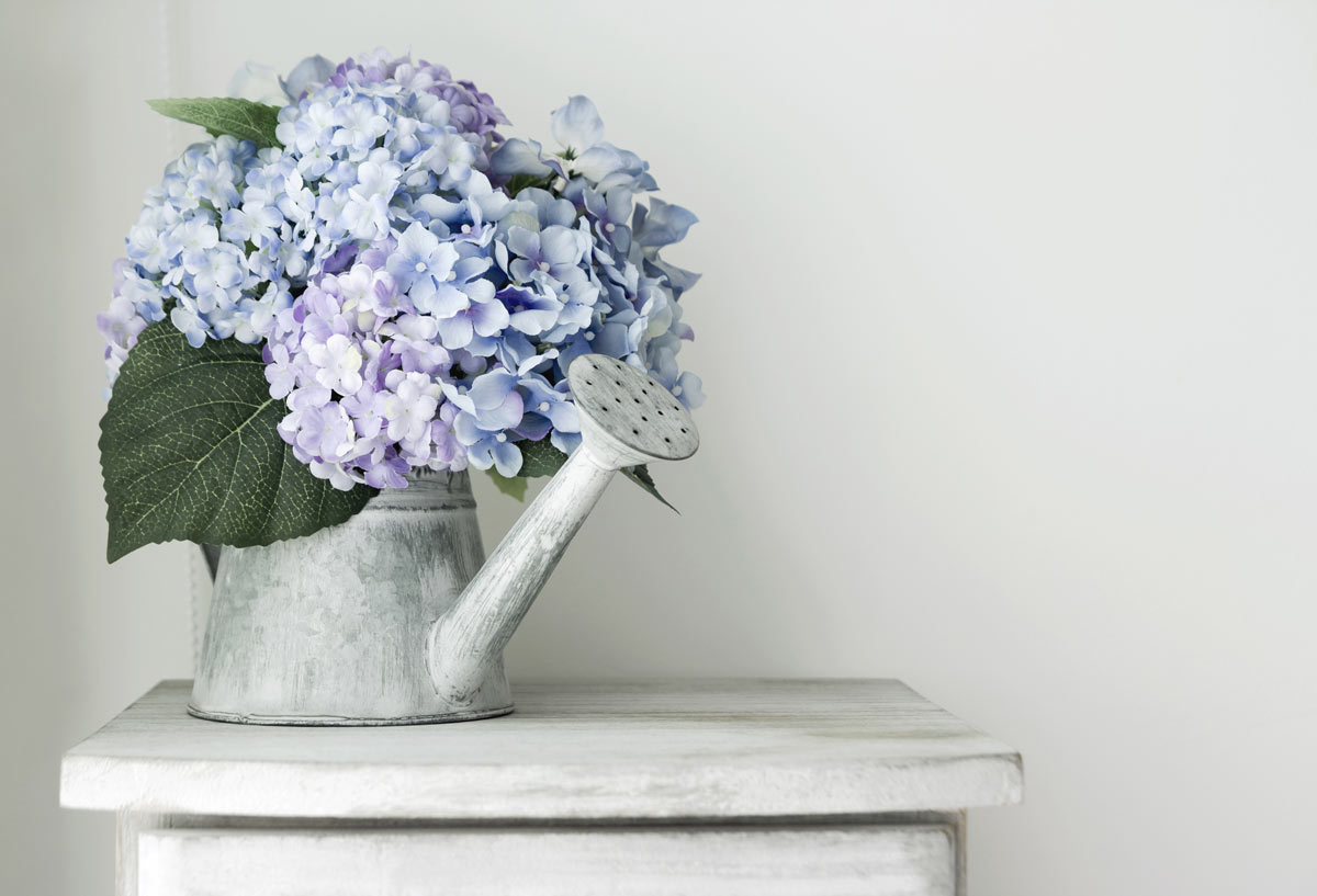 vase d'hortensias