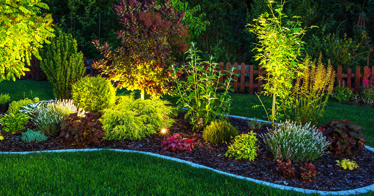 Comment illuminer les plantes dans le jardin.