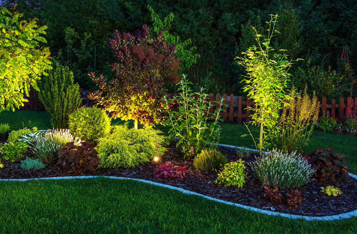 Comment illuminer les plantes dans le jardin.