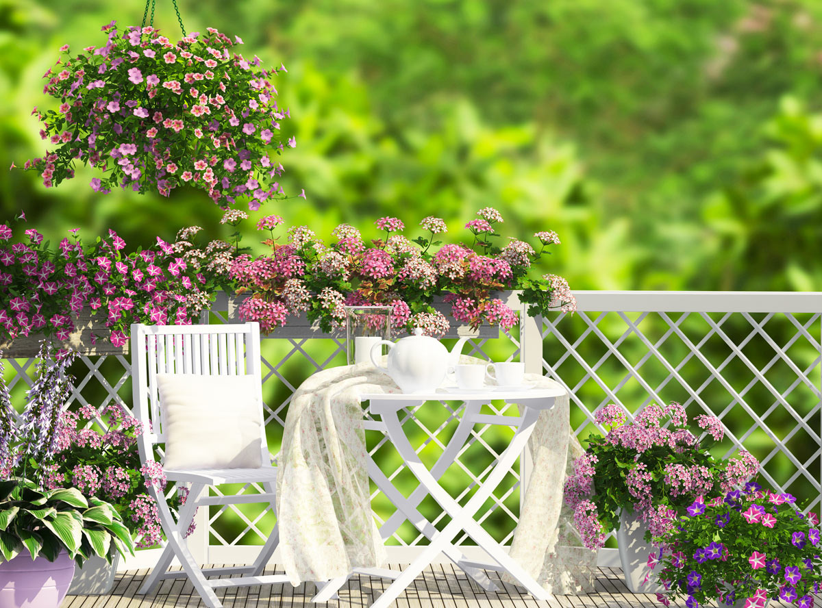 jardin de fleurs balcon