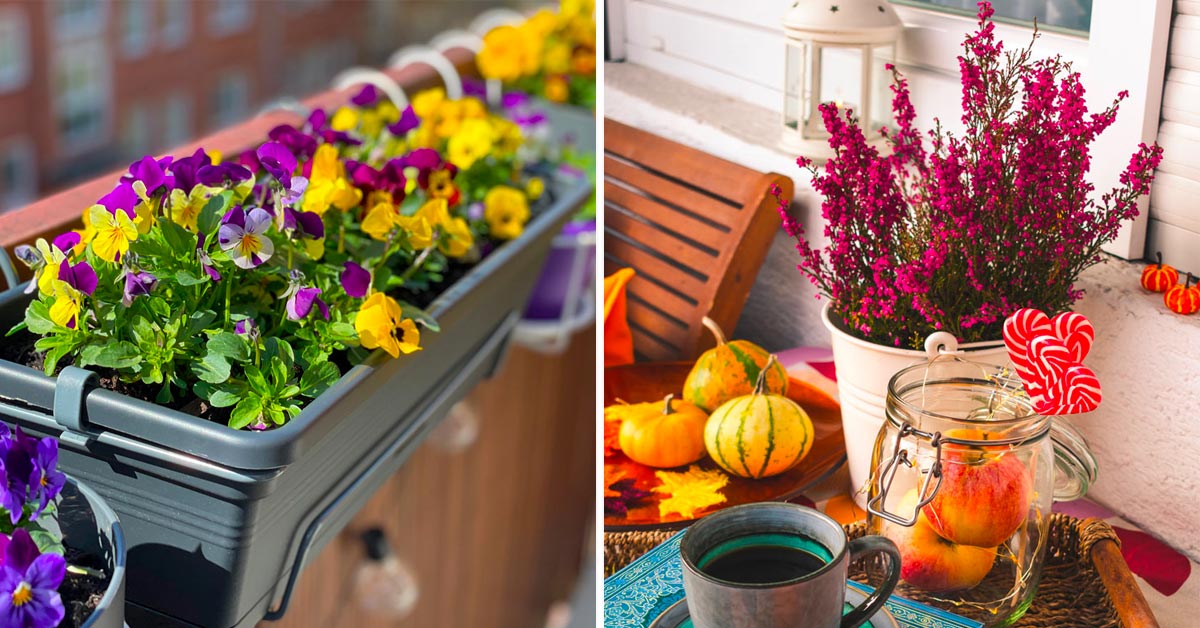 Un balcon super fleuri même en automne.