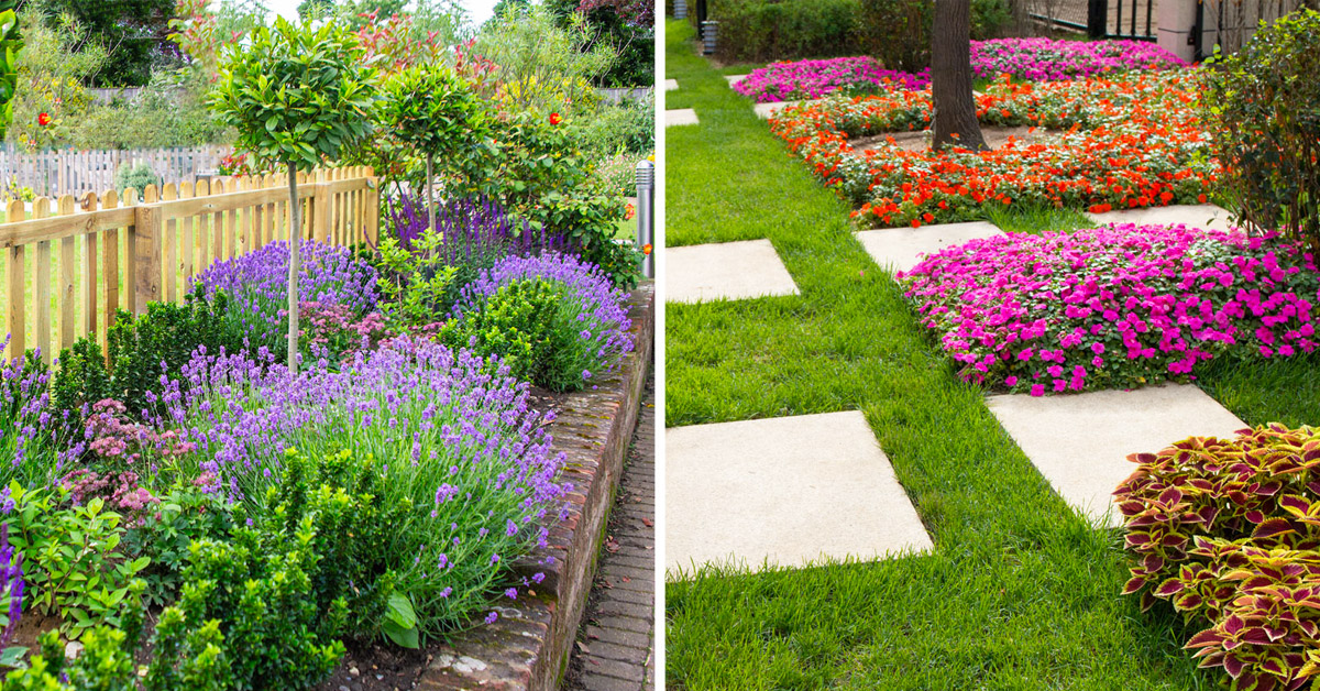 Comment réaliser un beau parterre de fleurs.