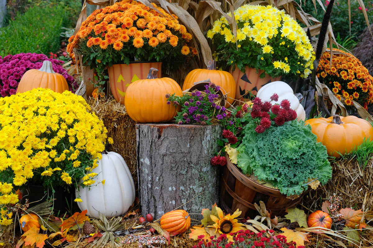 Idées pour décorer le jardin en automne.