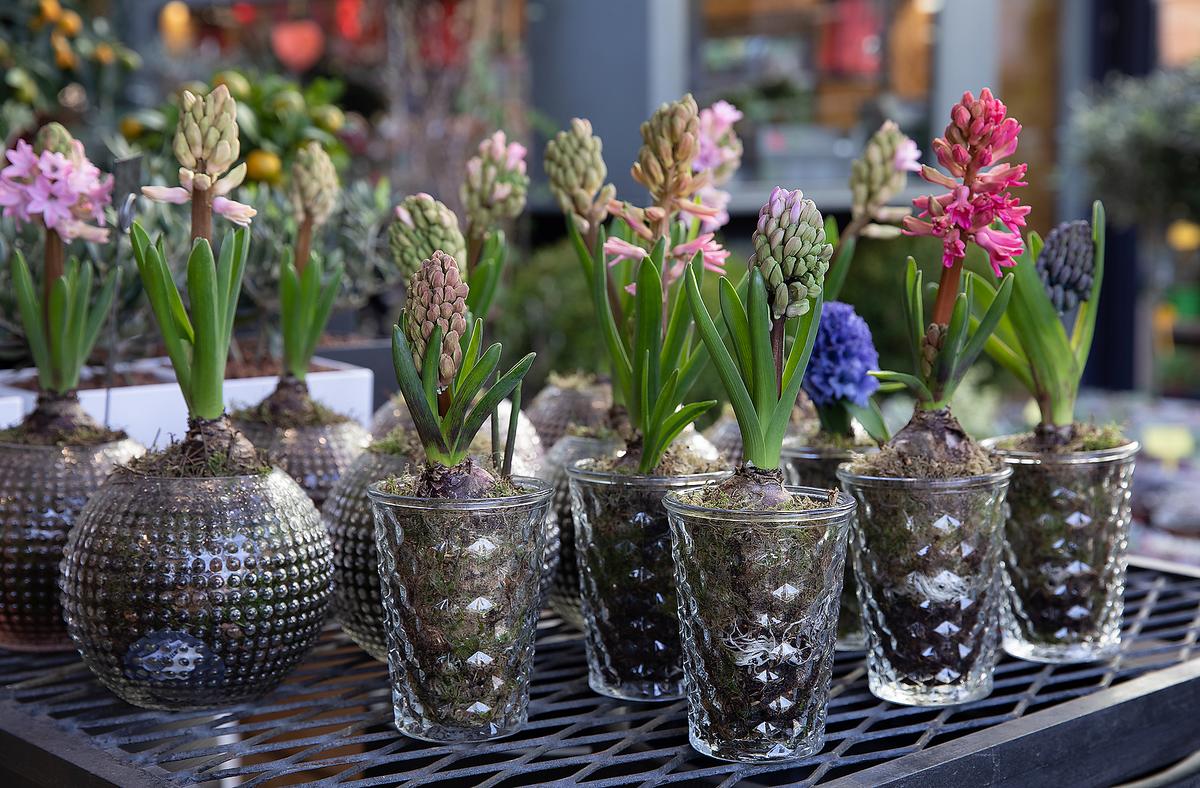 recycler de manière créative les gobelets en verre