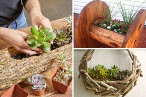 Bois et vieux objets pour creer des jardinieres DIY originales.