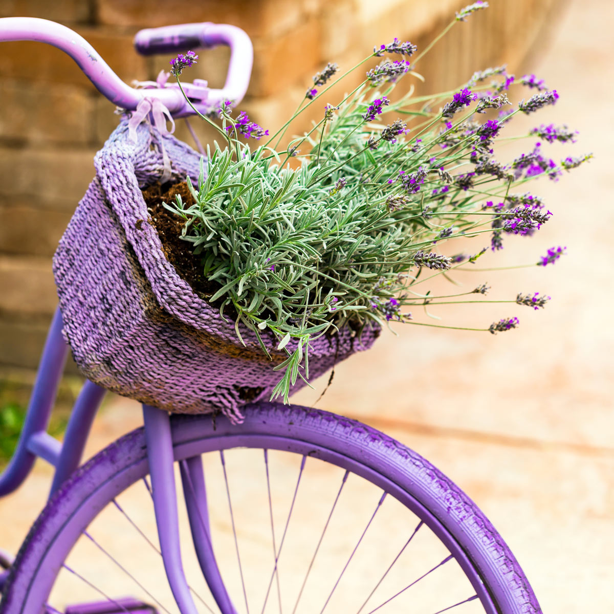 récup pour décorer son jardin