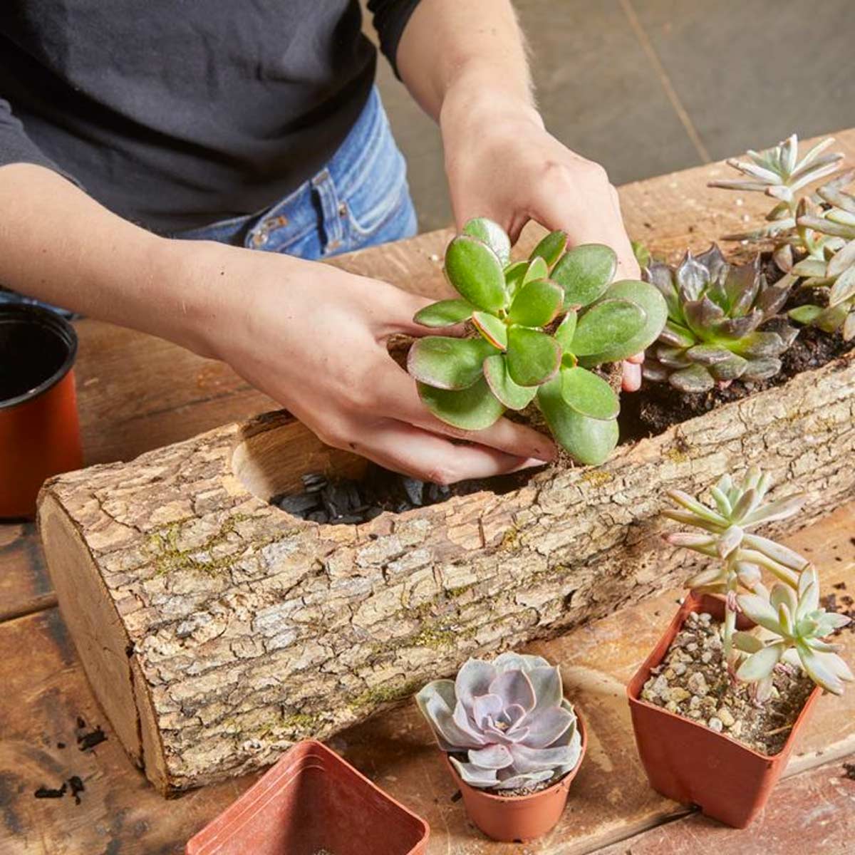 Bois et vieux objets pour créer des jardinières DIY originales