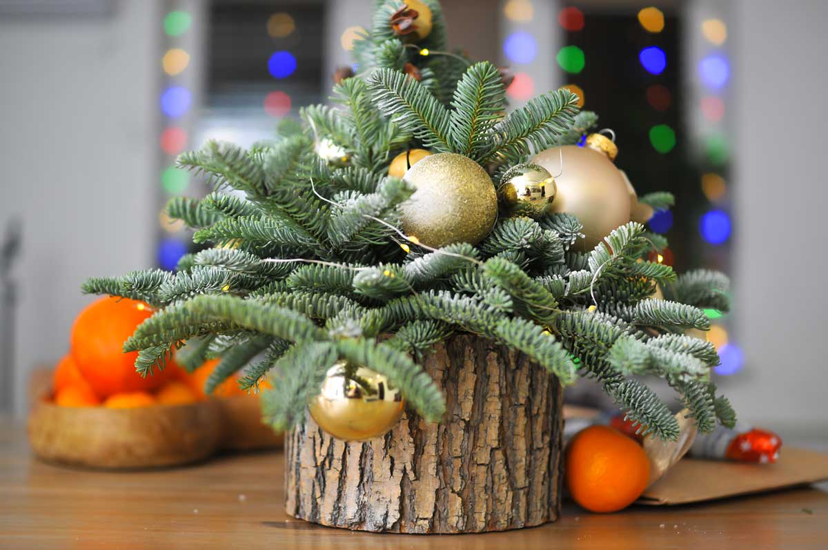 Créer de délicieuses décorations de Noël avec branches