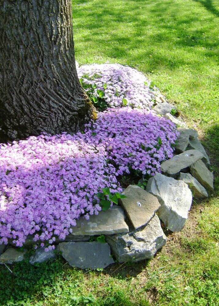 Fiori e pietre naturali intorno a un albero