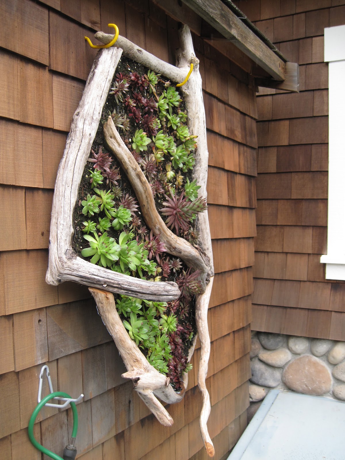 Un'idea di giardino verticale esterno con legno di mare