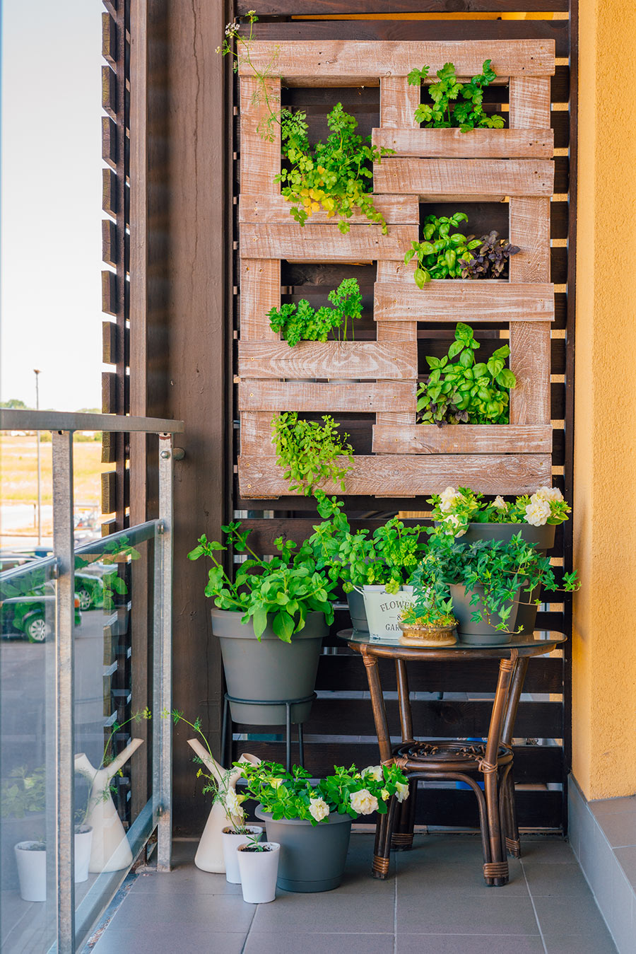 jardin vertical sur le balcon avec plantes aromatiques.