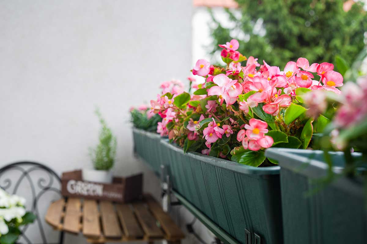 5 pépites pour un balcon coloré