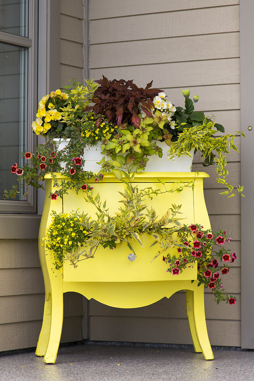 une vieille commode peinte en jaune devient un bac à fleurs pour l'extérieur