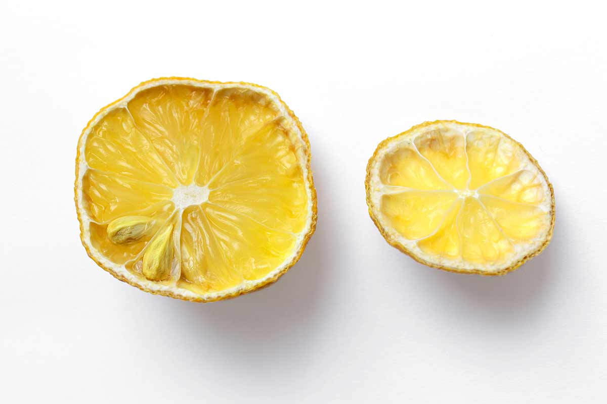 vieux citrons, utilisations alternatives
