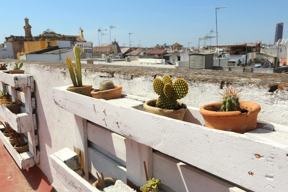 Jardinière bricolée avec une palette peinte en blanc et des pots de plantes succulentes.