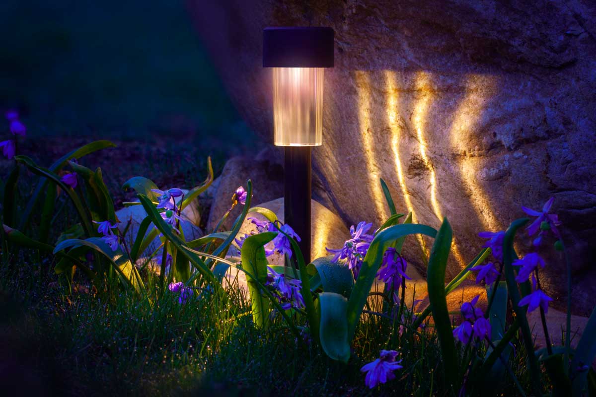 lampe de jardin solaire avec fleurs violettes