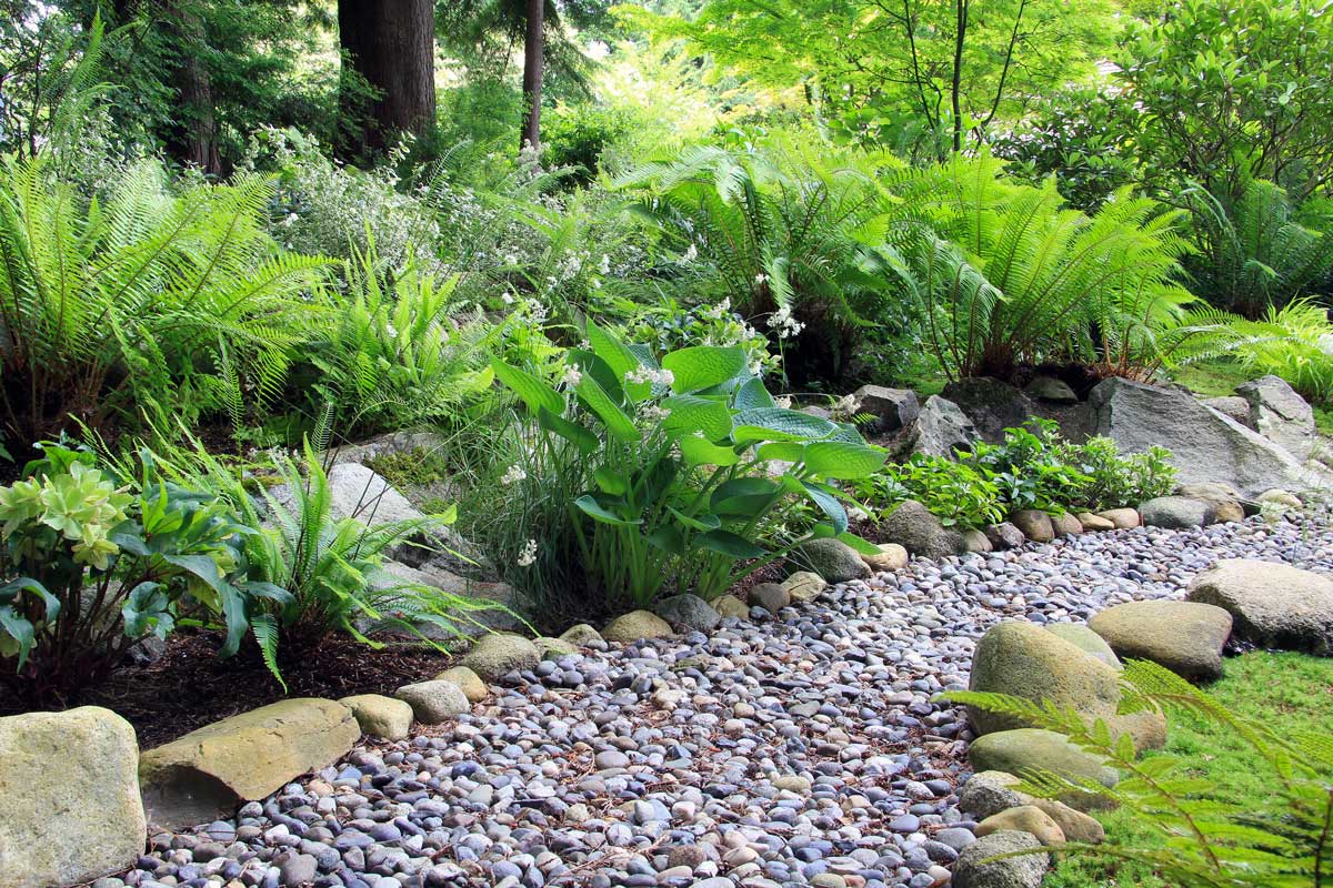 chemin de galets dans le jardin