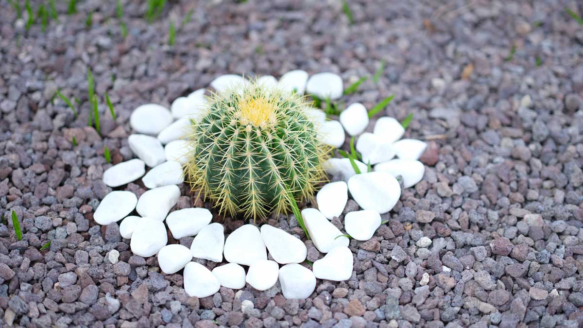 Jardin créatif DIY avec des pierres