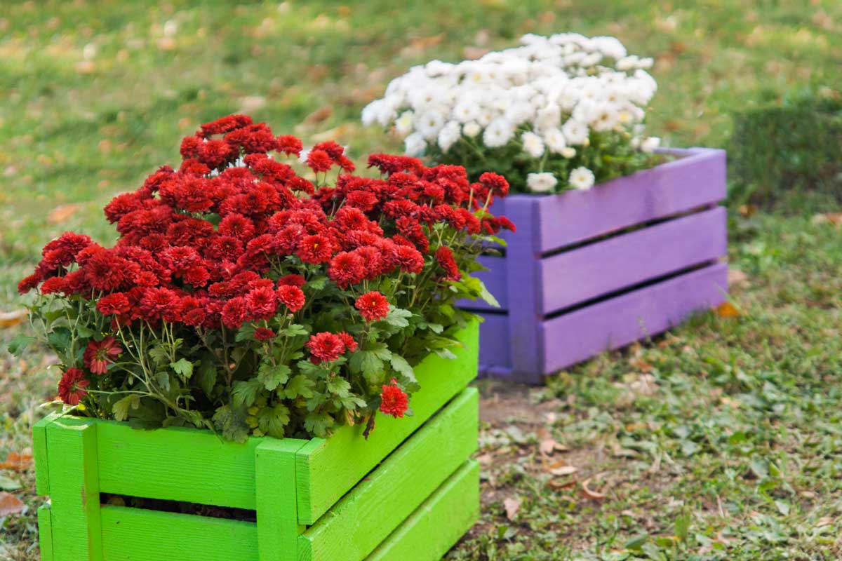 Bacs à fleurs en bois coloré