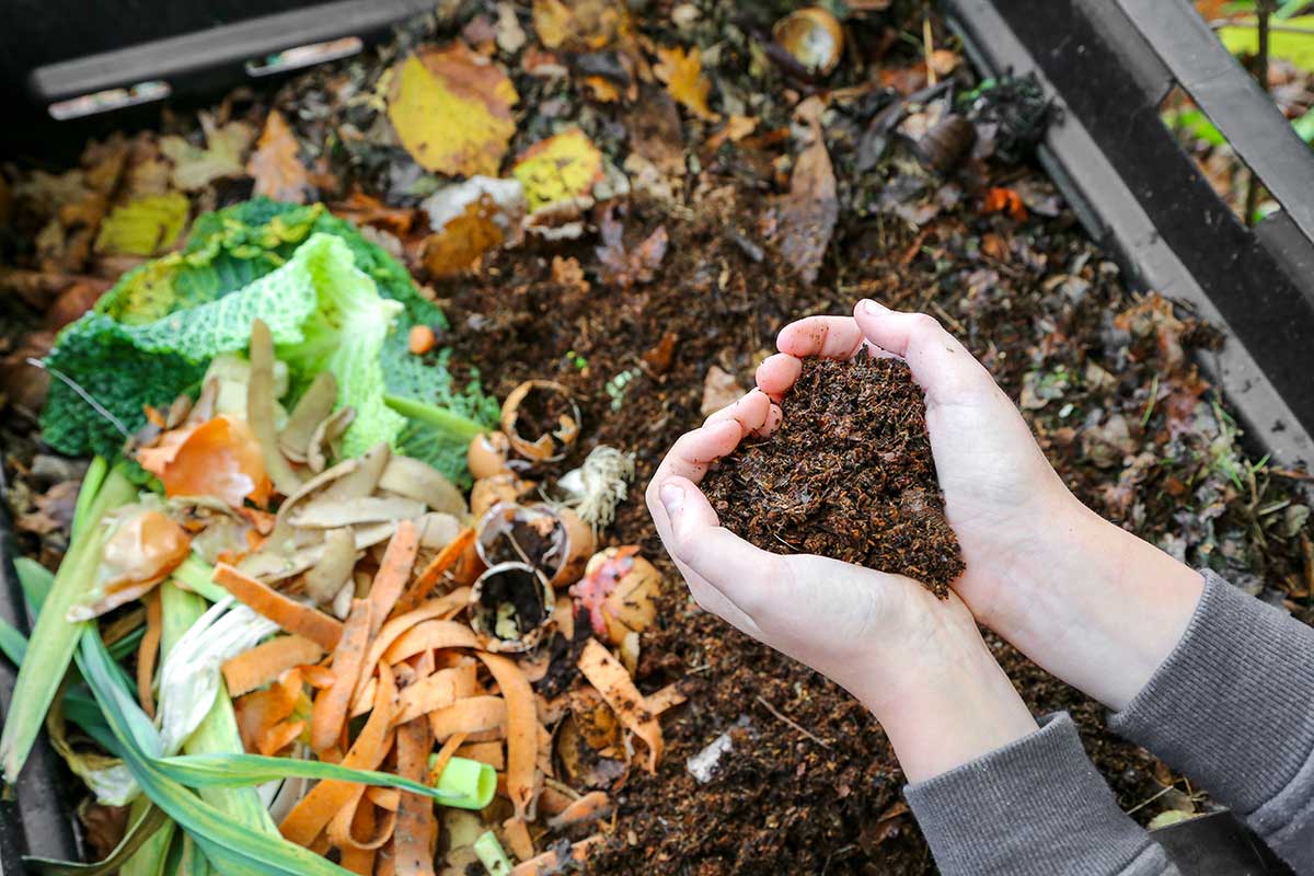 déchets alimentaires engrais maison