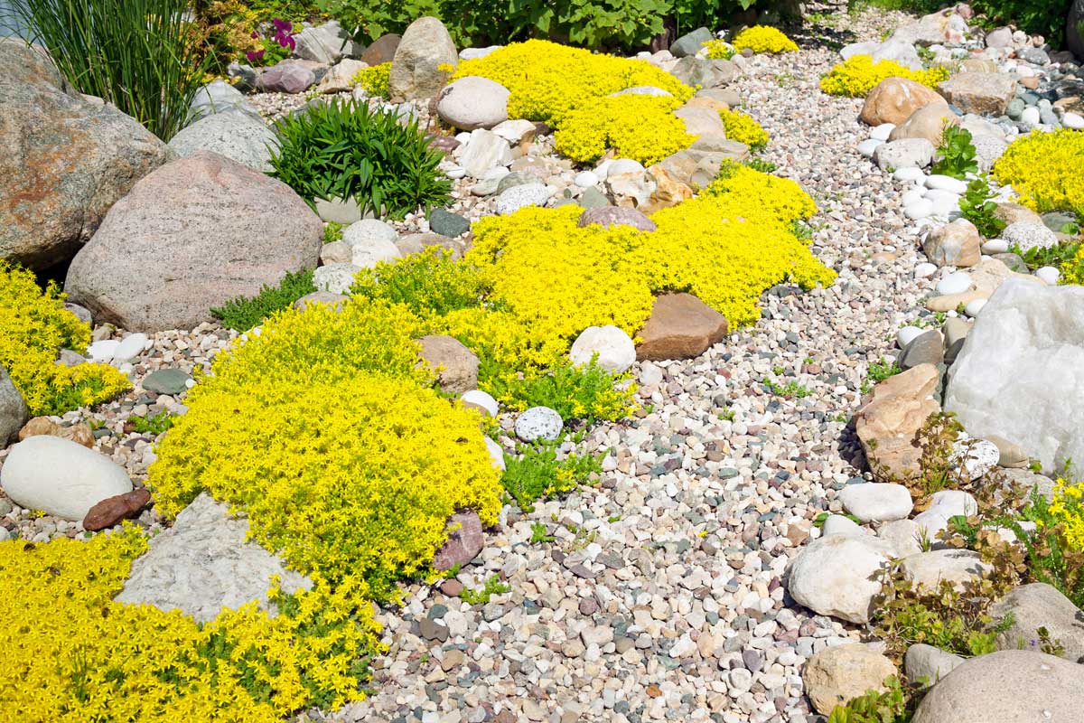 jardins de rocaille avec pierres