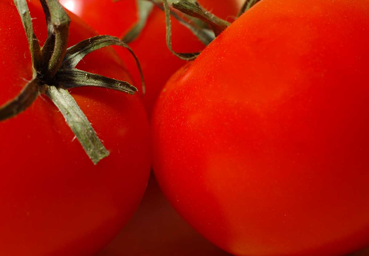 tomates bien rouge