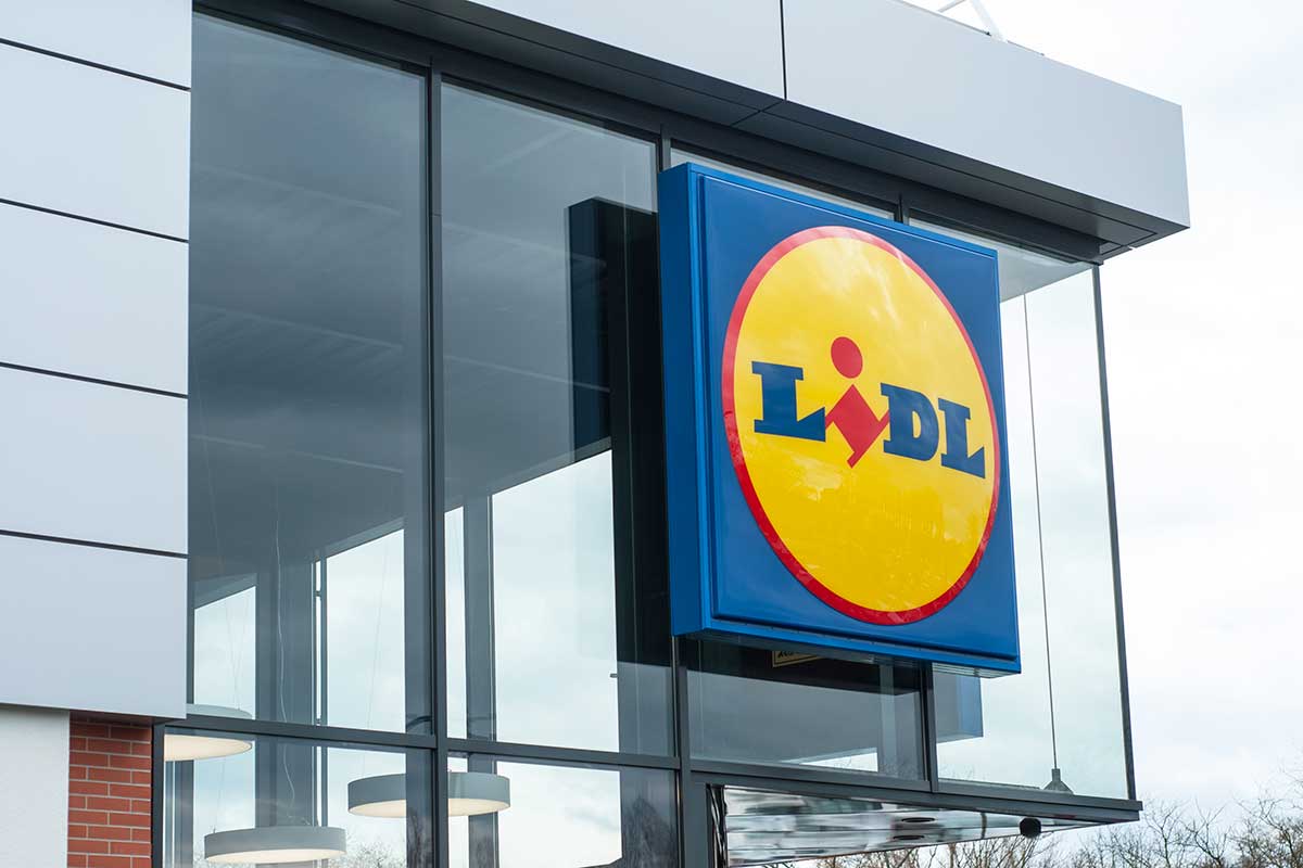 Fleurs et plantes Lidl semaine prochaine