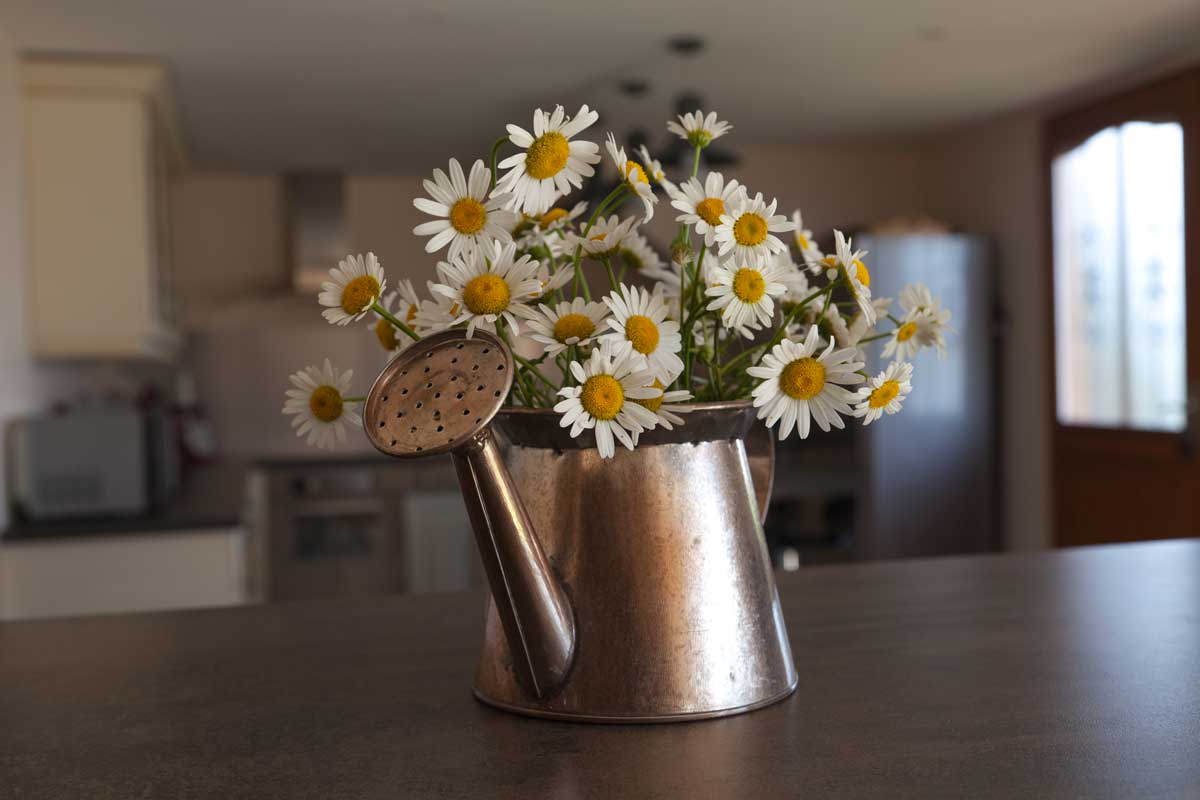 Vase de Marguerites style shabby chic.