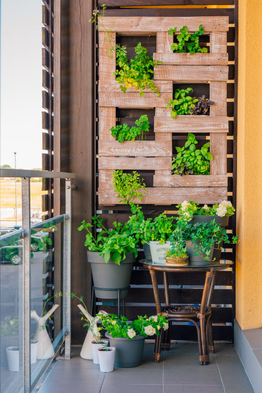 jardin vertical DIY en palette de bois avec plantes aromatiques