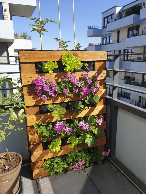 jardin vertical DIY en palette avec fleurs colorées