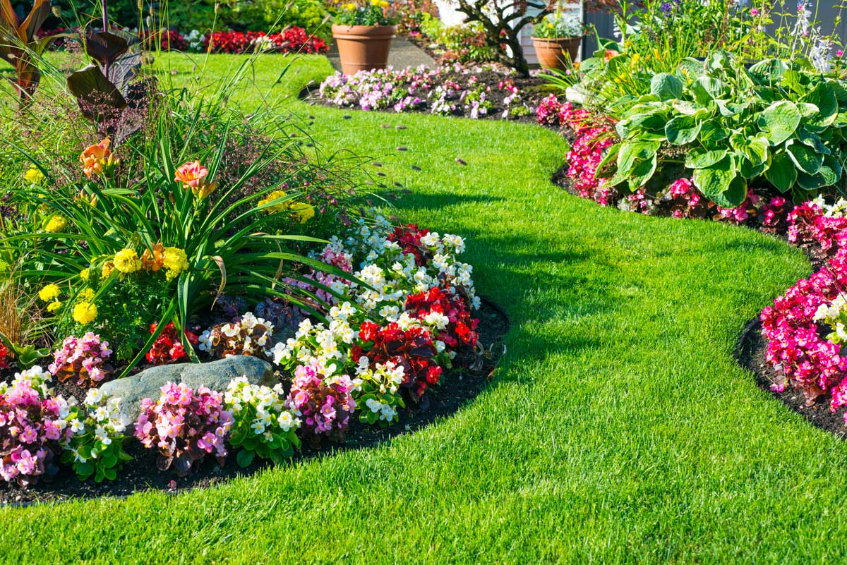 Jardin avec bordures de fleurs colorées et parfumées.