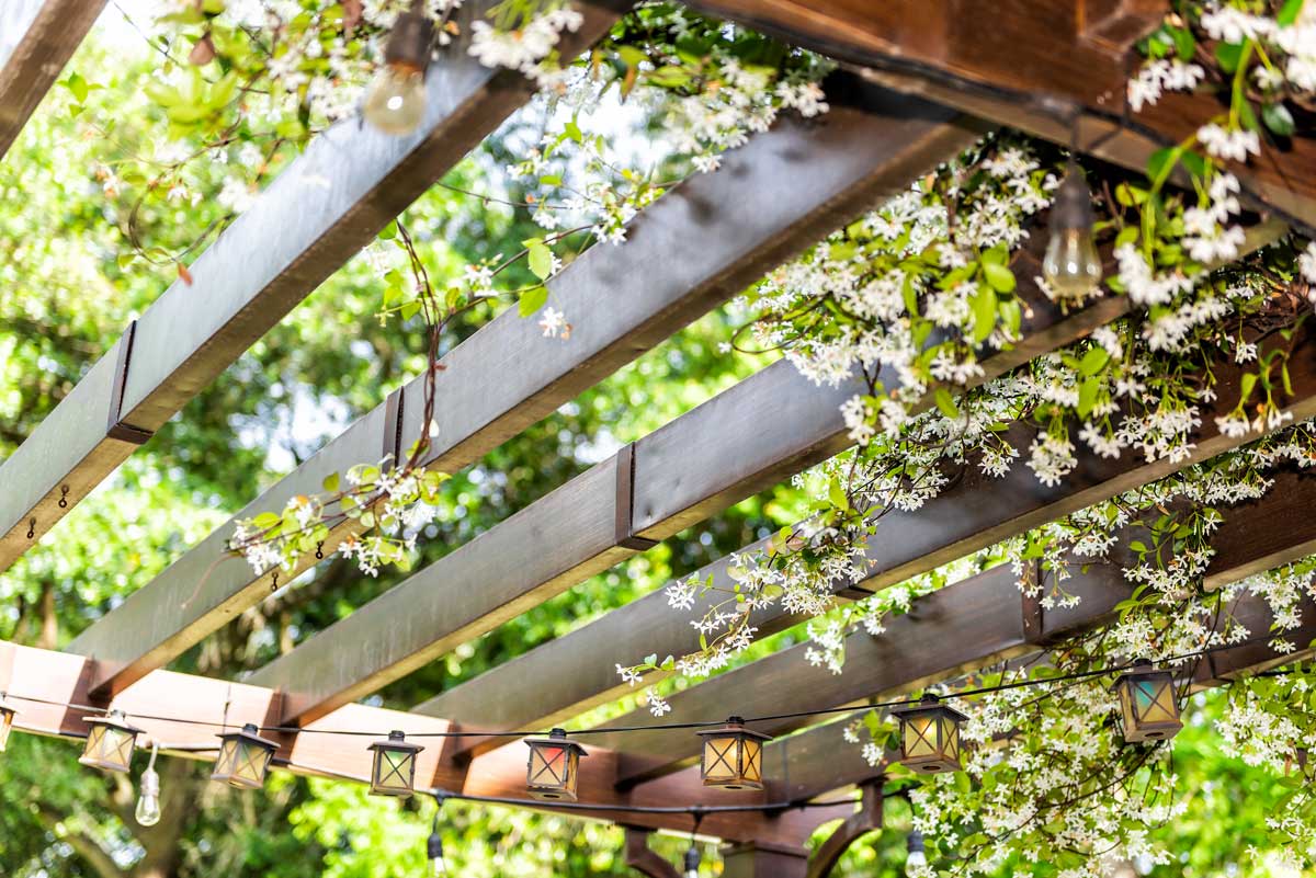 Pergola avec jasmin