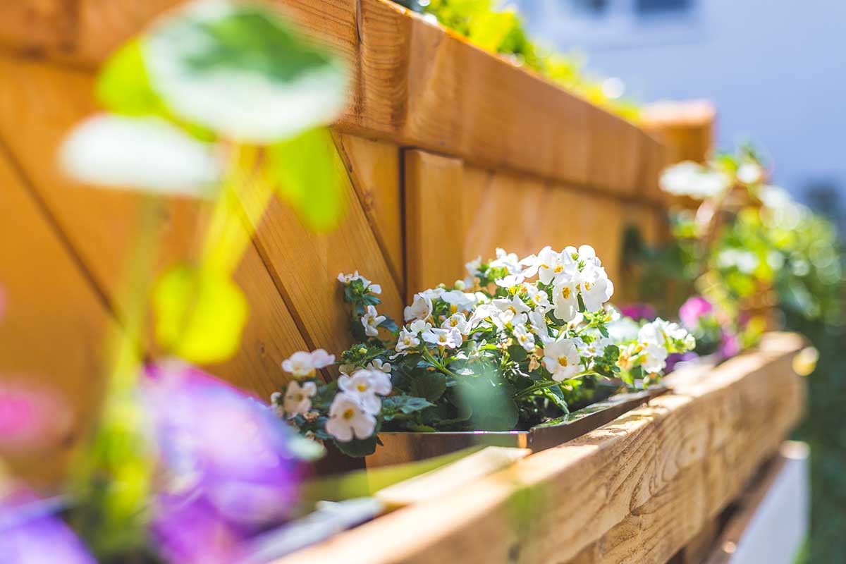 projets de jardinage pour un balcon luxuriant durant l'été