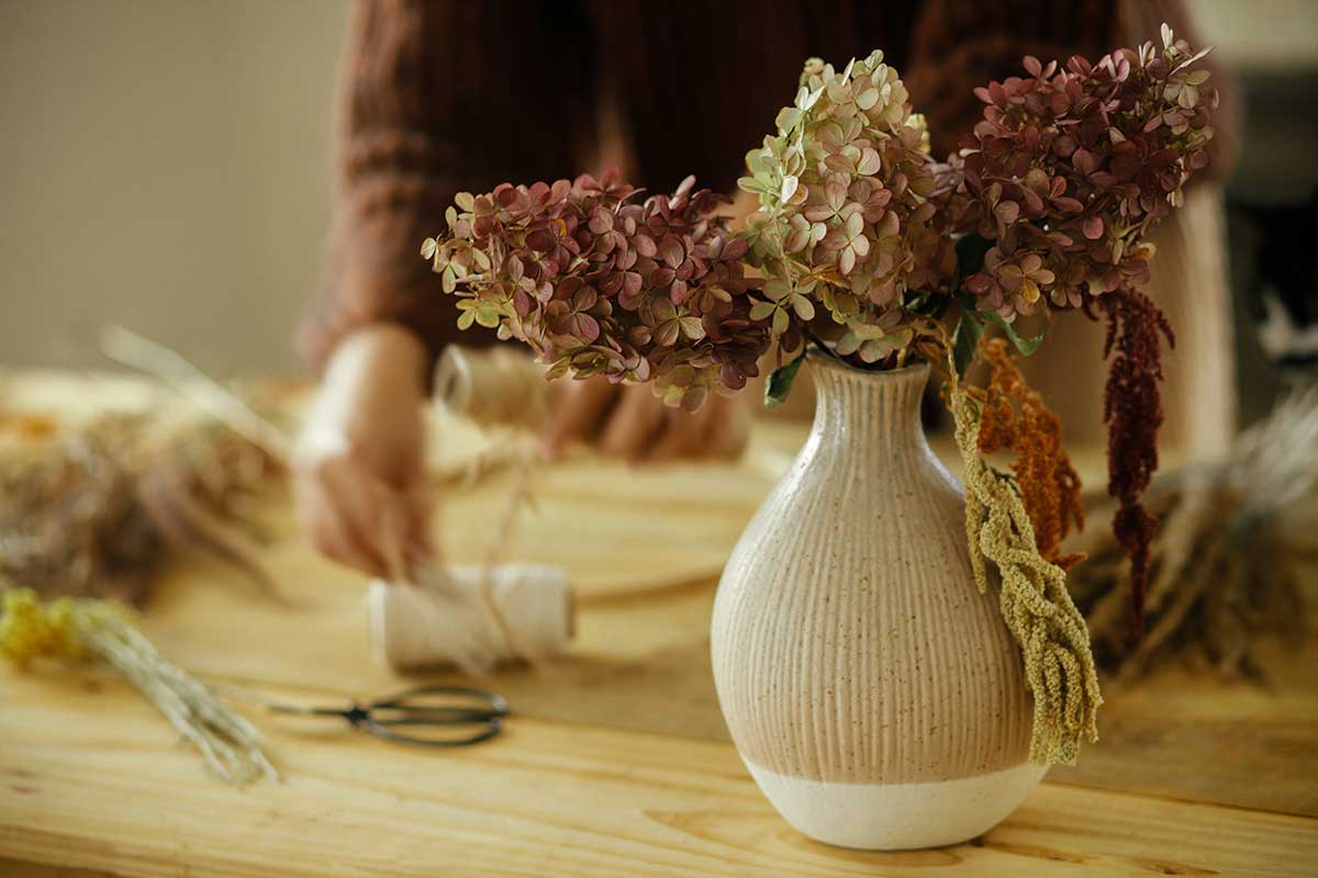 hortensias séchées en pot 