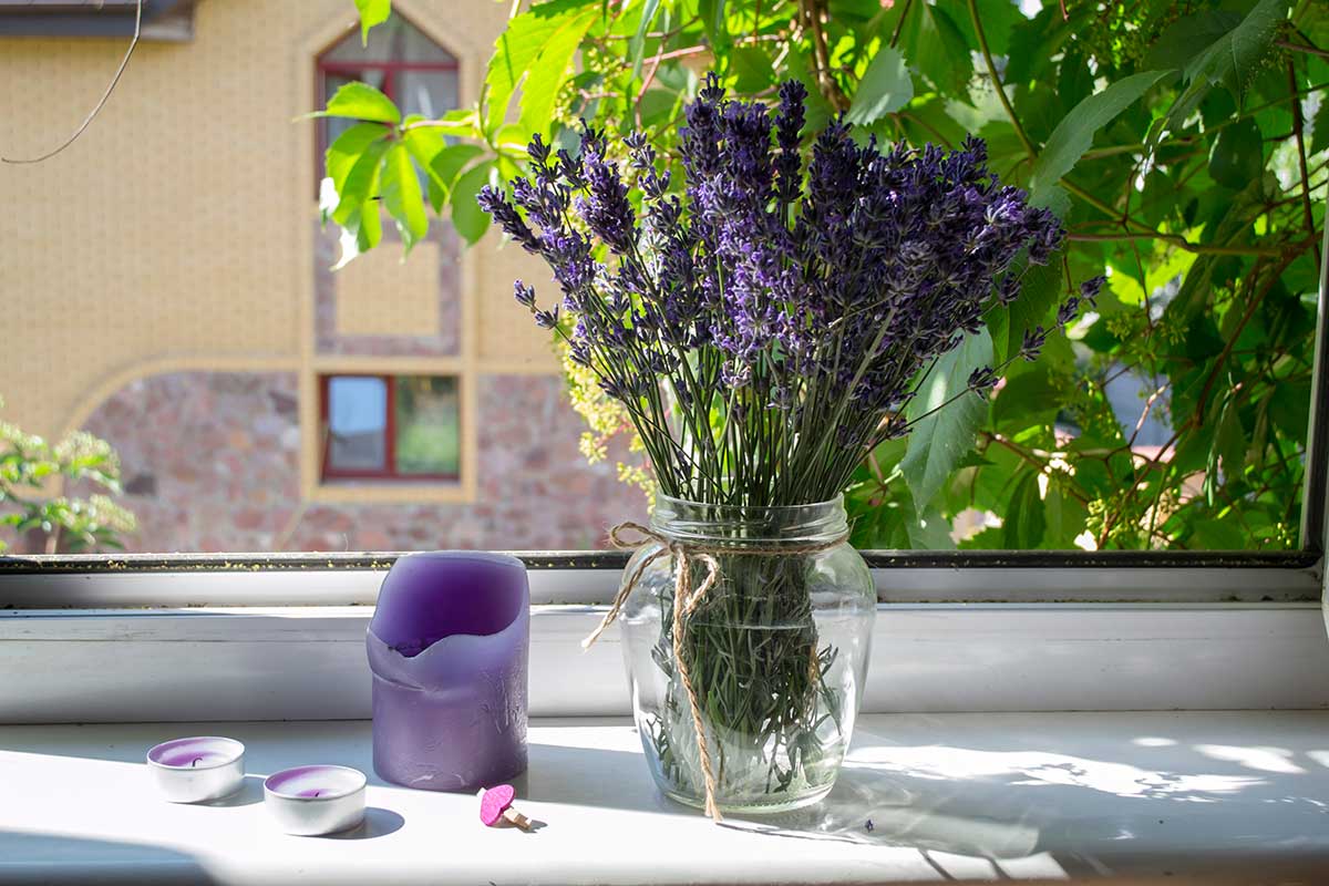 pot en verre recyclé avec lavande