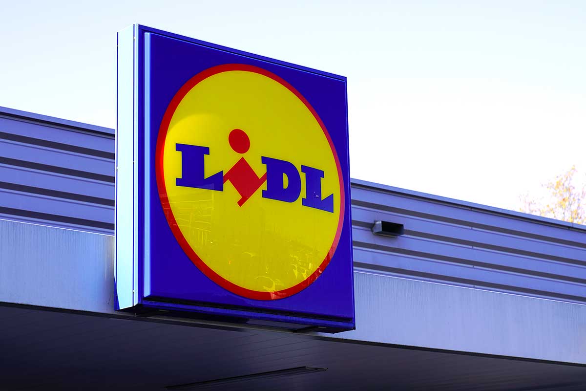 plantes et fleurs lidl semaine prochaine