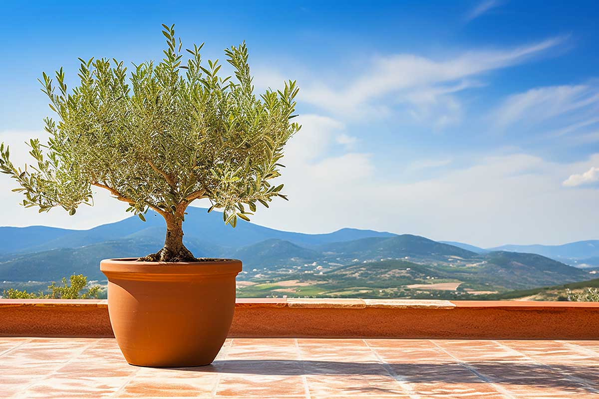 taches de pot sur la terrasse