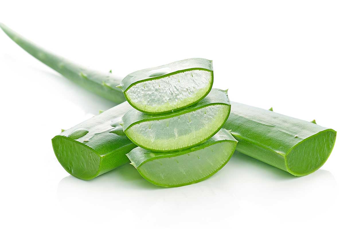 Pelures d'Aloe vera