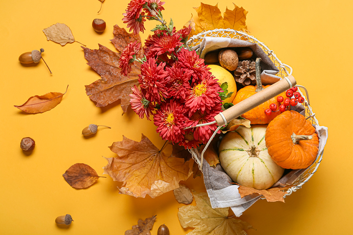panier avec décoration d'automne