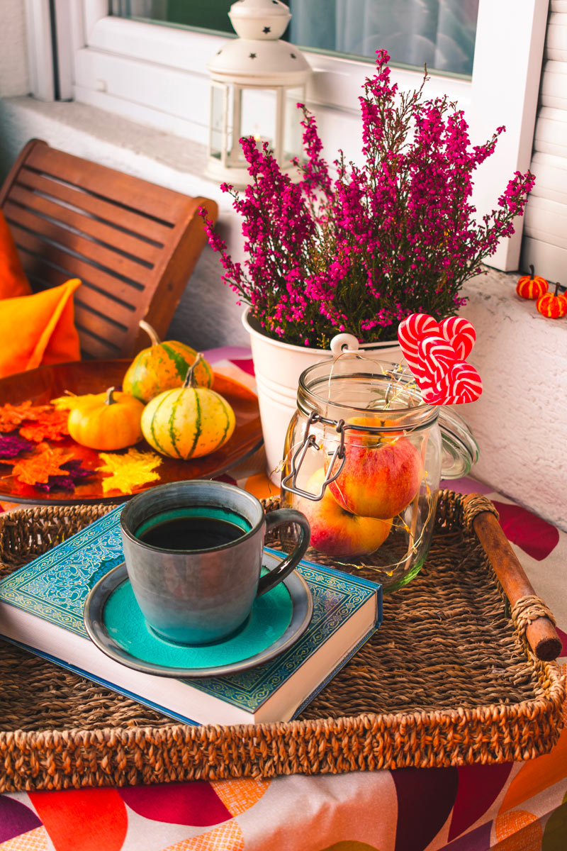 idées de plantes pour un balcon fleuri même en automne