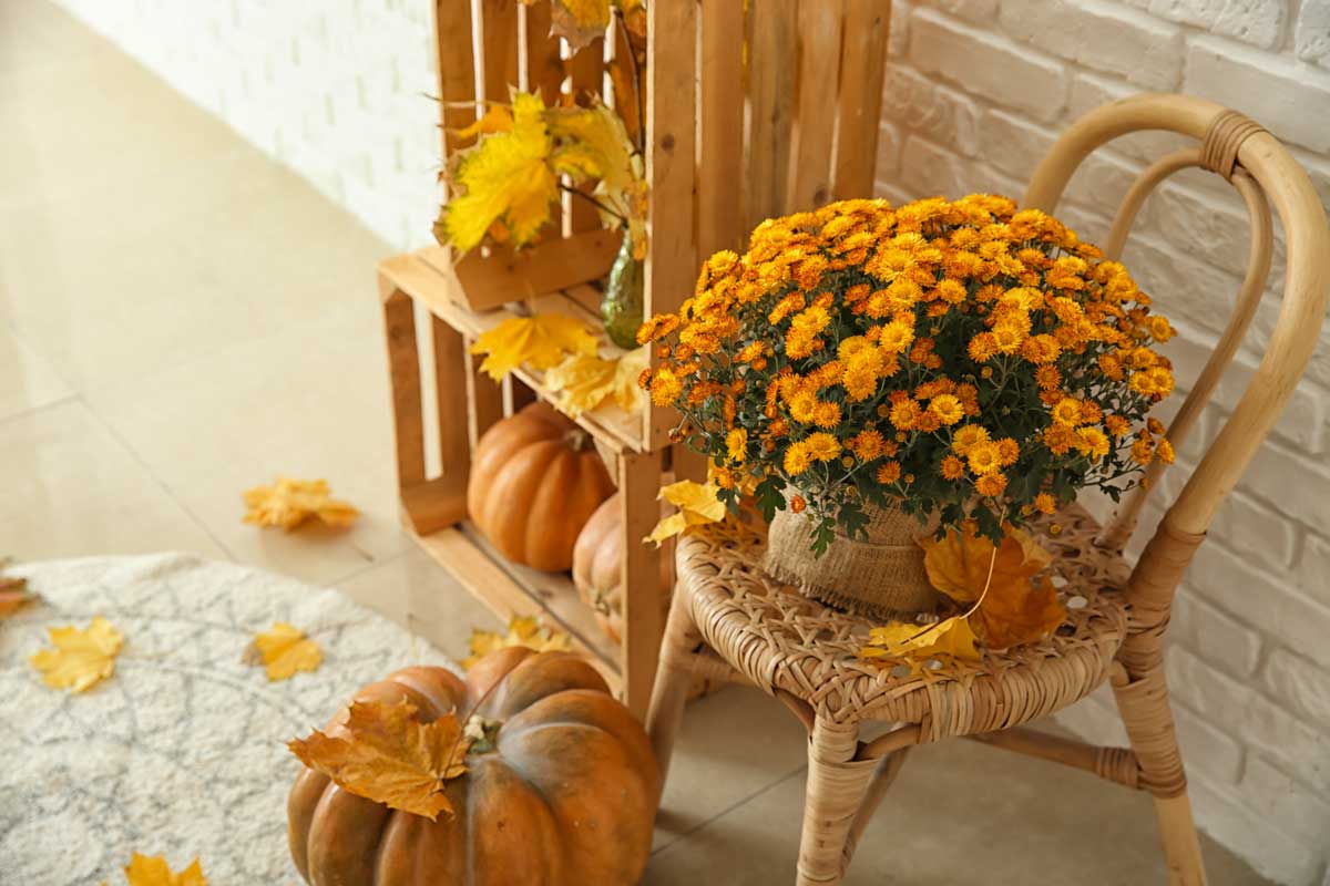 rustique décorations automne