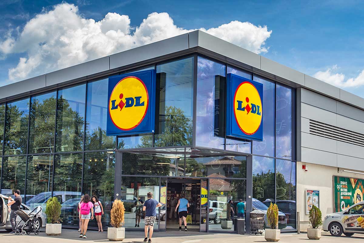 plantes Lidl en promo