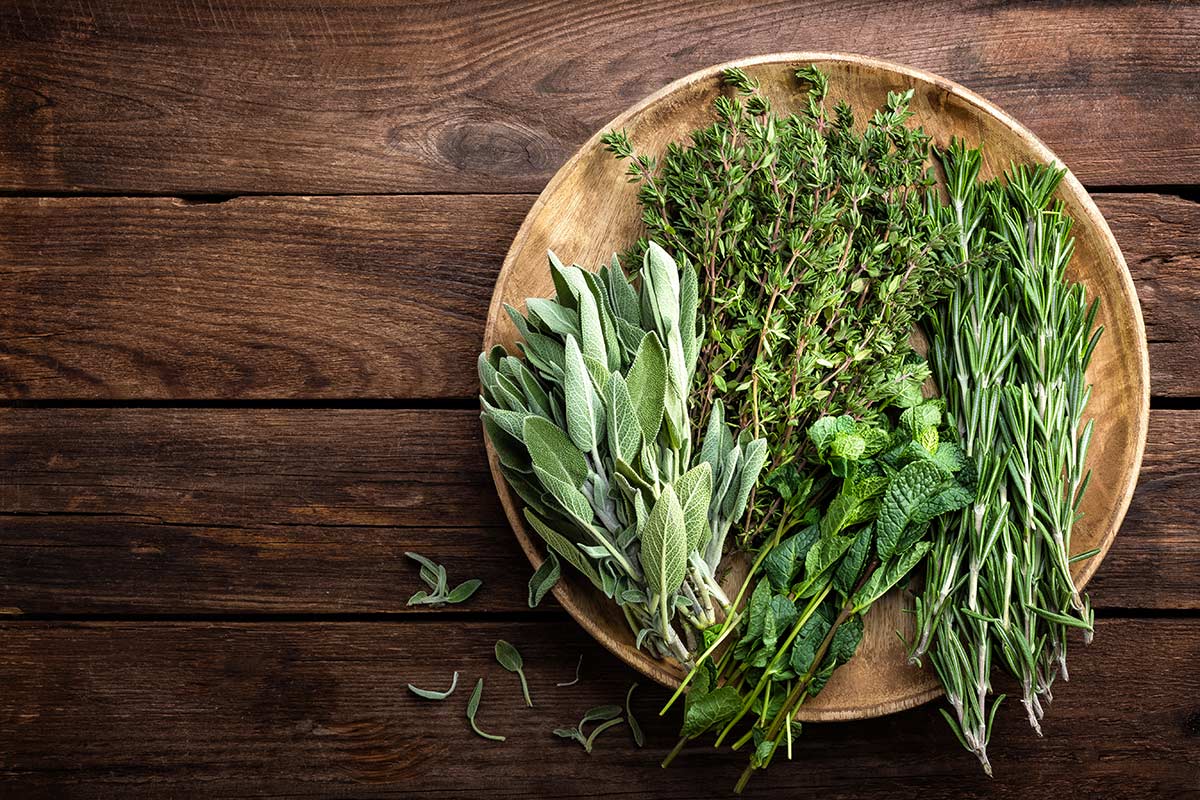 Sécher les herbes aromatiques