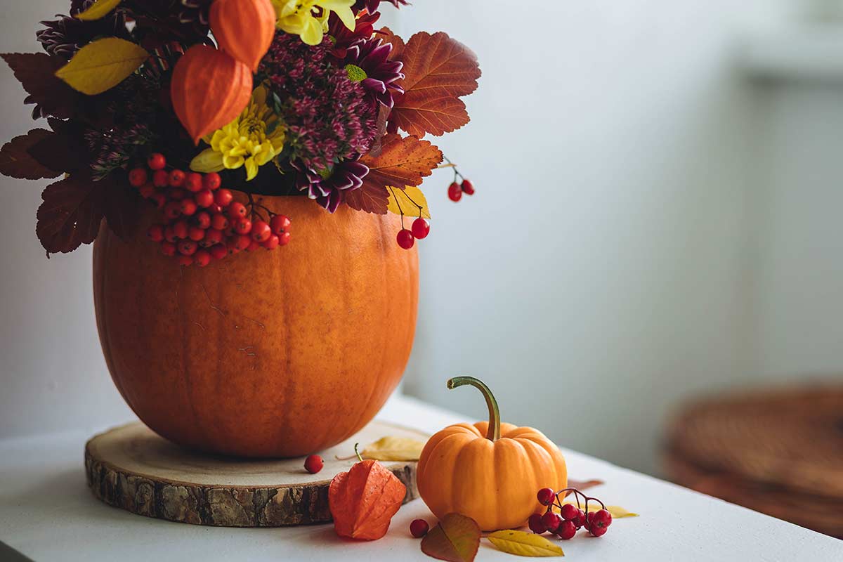 pot de fleurs diy avec citrouille